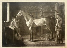 Charger l'image dans la galerie, Edward FISHER - Jason. c.1758. Manière noire d'après Nathaniel Hone (Dublin 1718 † Londres 1784).