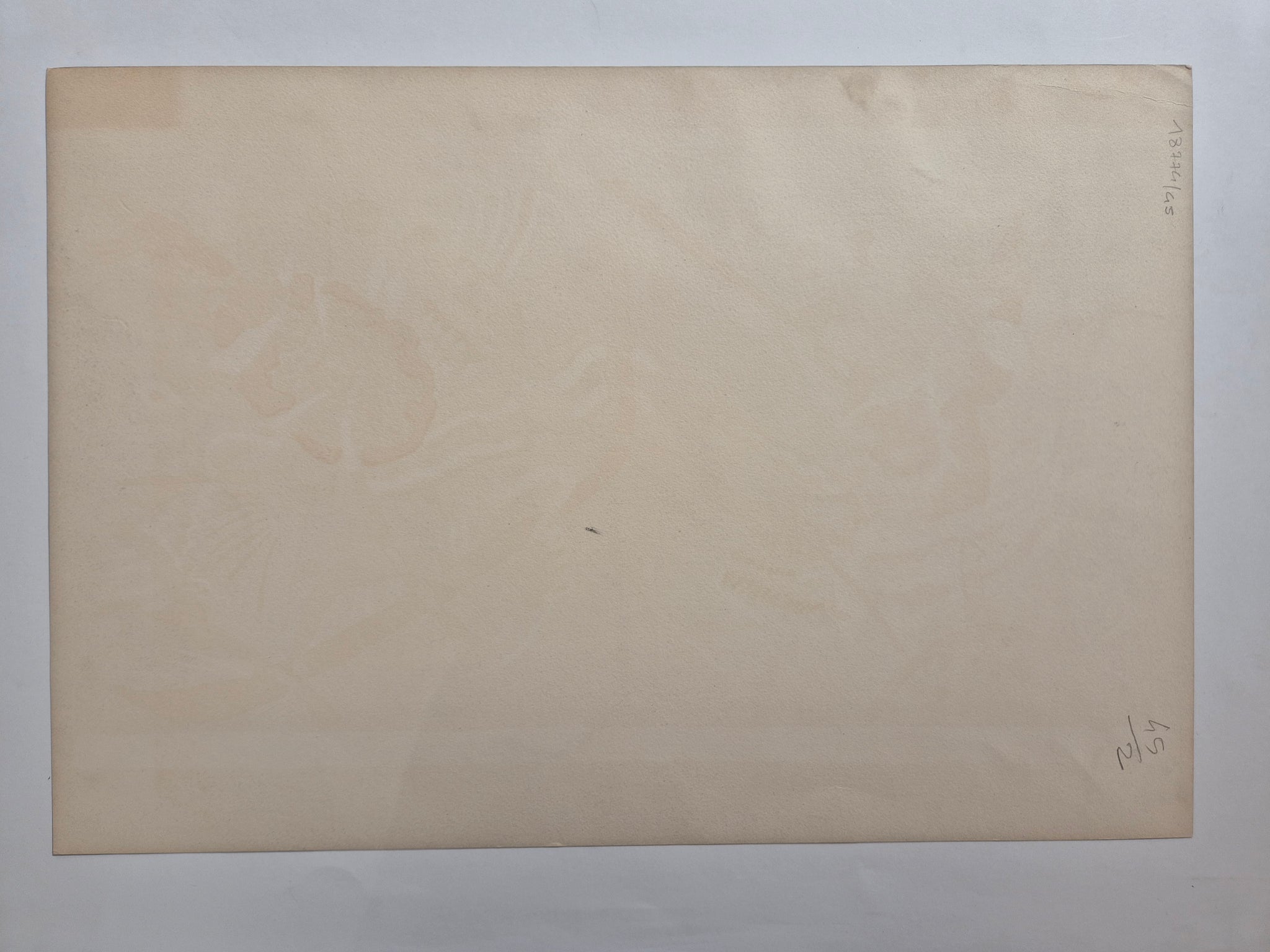 Juryfreie, mur A. 1958.