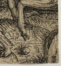 Charger l'image dans la galerie, Le combat allégorique au miroir solaire, ou Poison et Antidote. c.1515-1520.