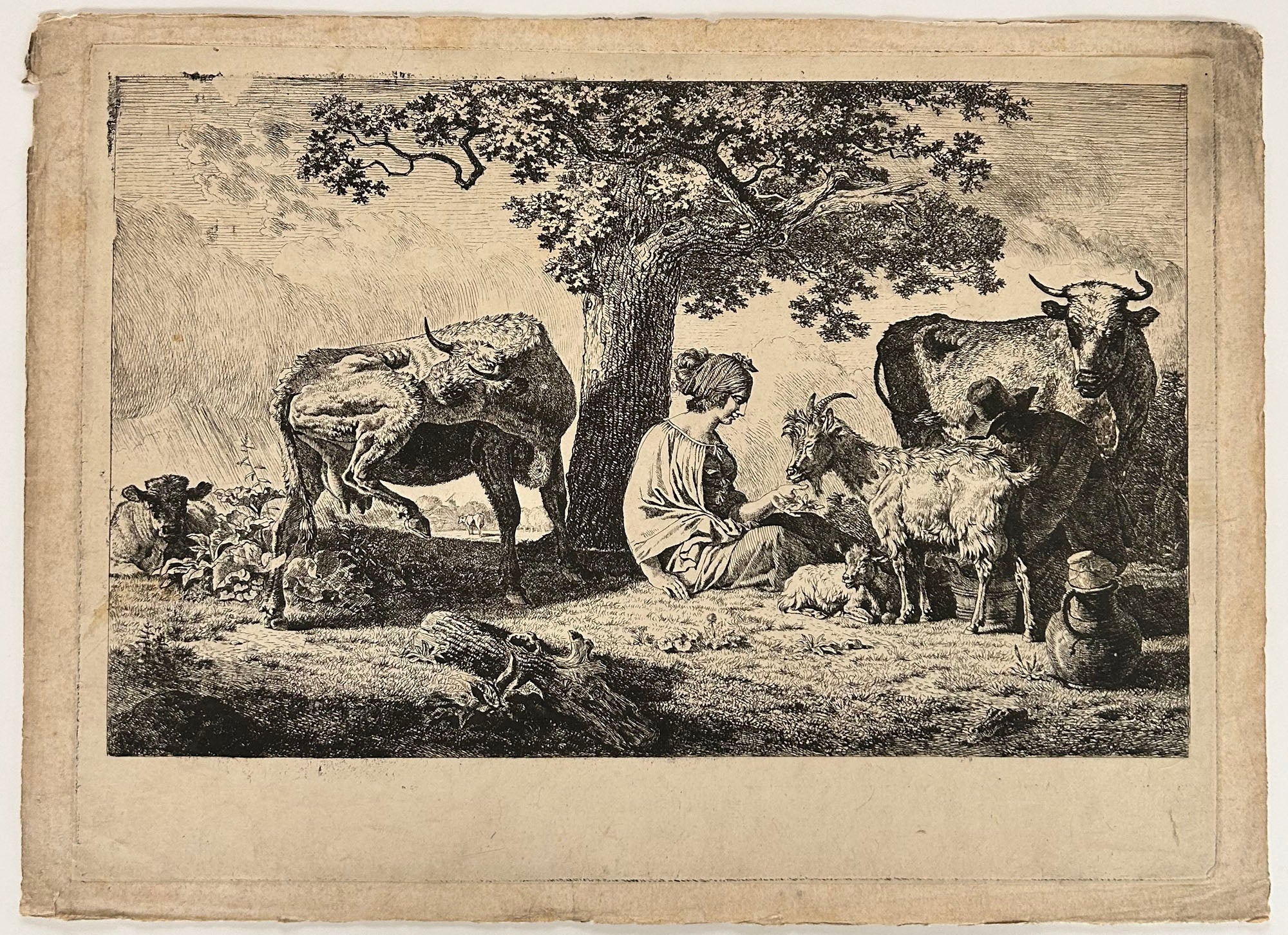 Scène pastorale.