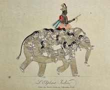 Charger l'image dans la galerie, L'Eléphant Indien.  Fin 18ème - début 19ème.