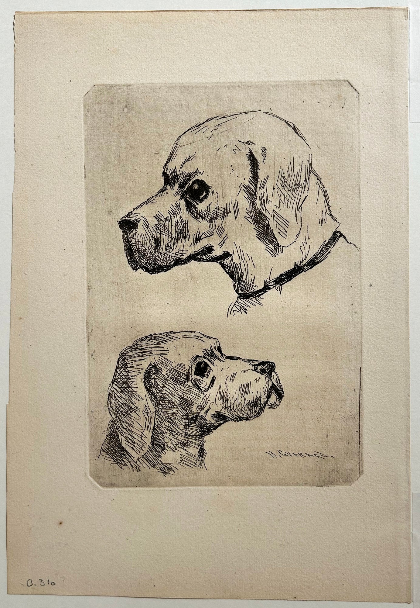 Deux petites études de chiens. c.1876.