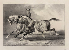 Charger l'image dans la galerie, Théodore GERICAULT - Deux chevaux gris pommelé que l'on promène. 1822. Lithographie exécutée en grande partie par Léon Cogniet (Paris 1794 † 1880), d'après la lithographie originale de Géricault intitulée "Horses exercising" publiée en 1821.