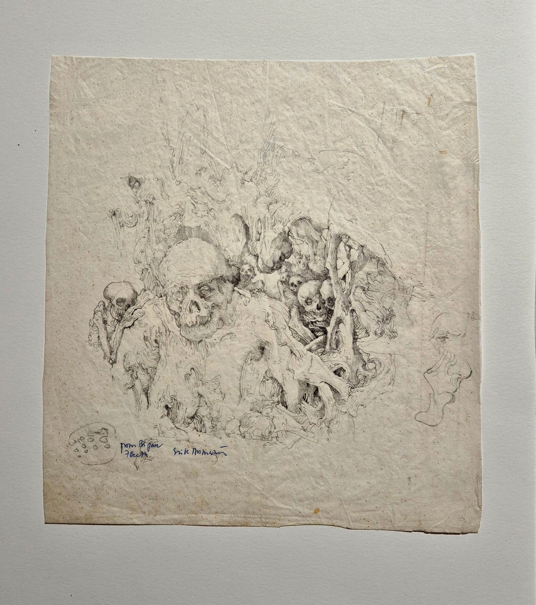 Etude de crânes et squelettes. Desmazieres dessin.