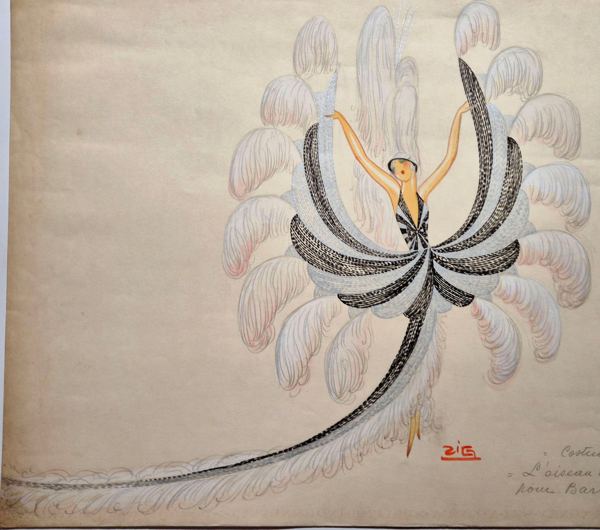 L'oiseau rare. Costume pour Barbette. Dessin de Zig.