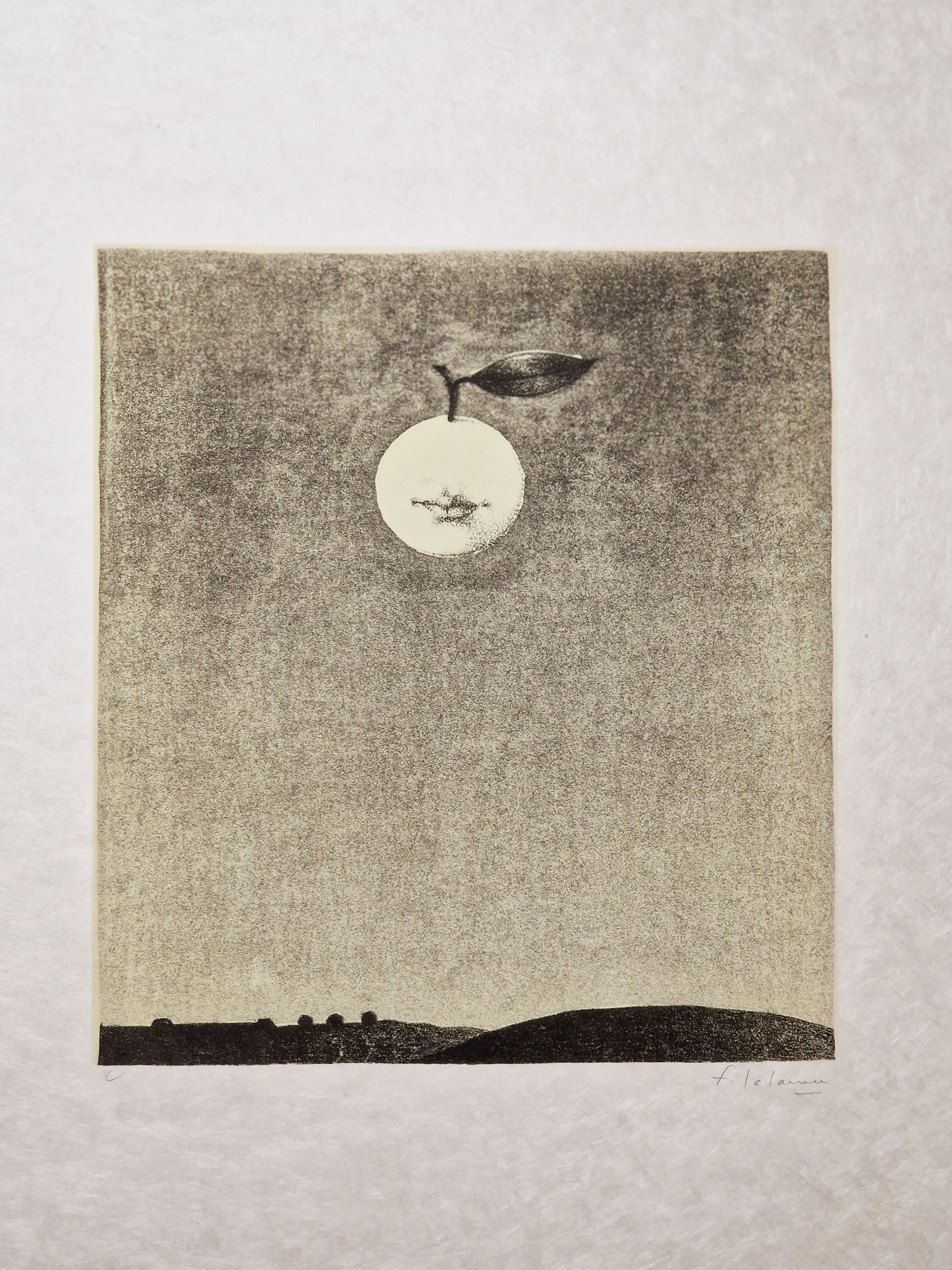 Polymorphoses. Paris, La Hune, 1978.