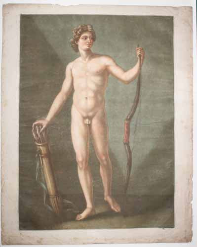 Apollon & Vénus, l'Anatomie Idéale.