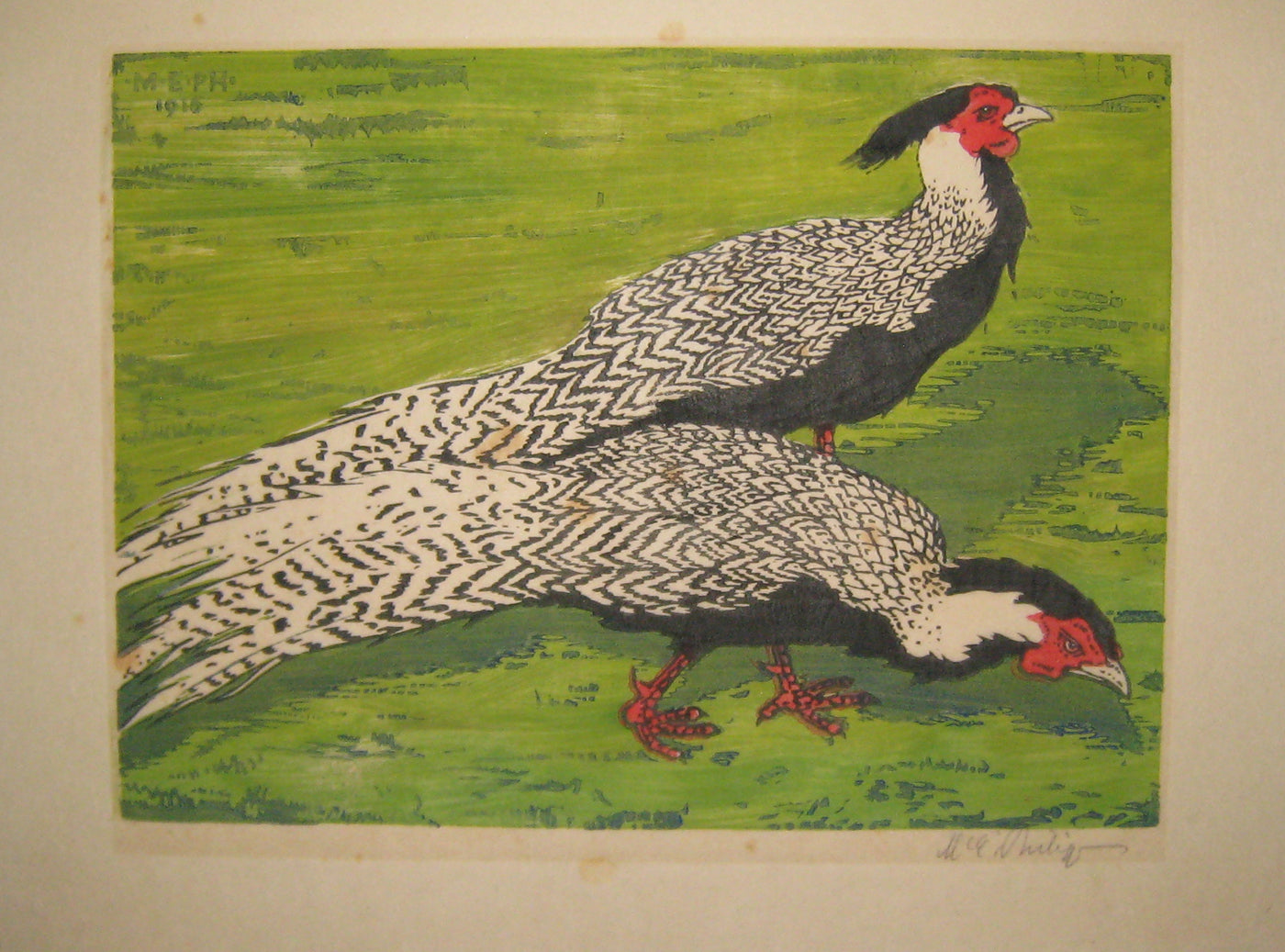 Silver Pheasants.