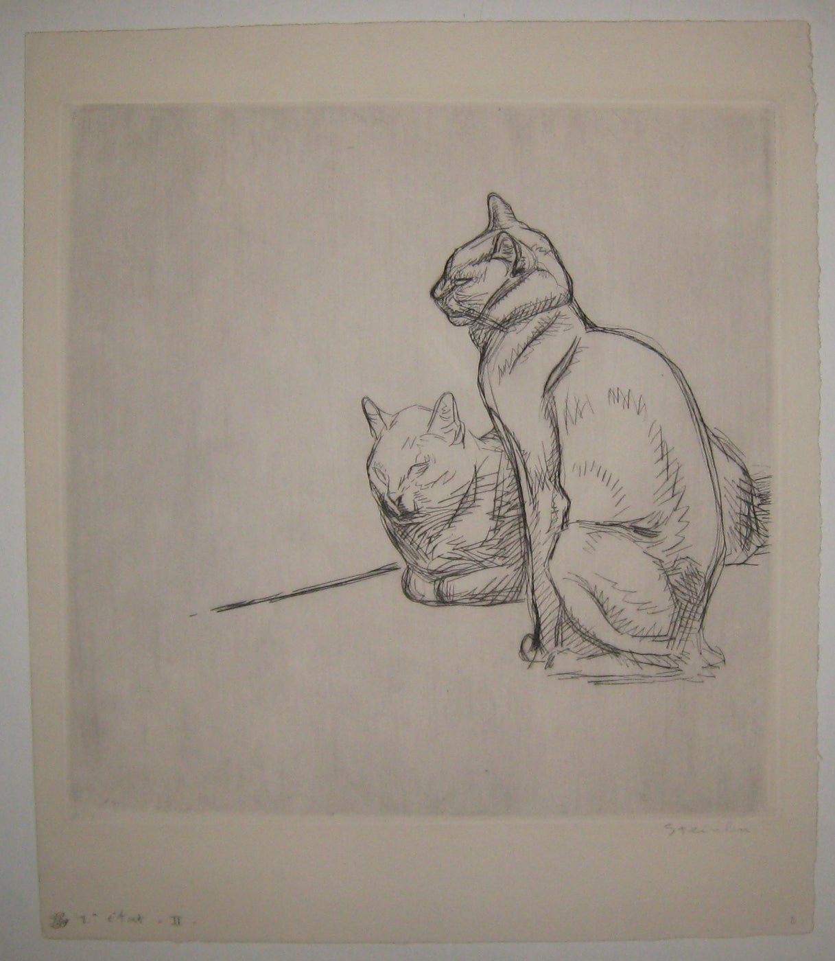 Deux chats au repos.