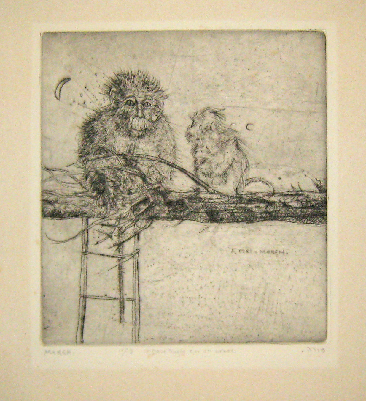 Deux singes sur un arbre.