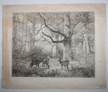 Charger l'image dans la galerie, Forêt de Fontainebleau ou Les Cerfs du Bas-Bréau.