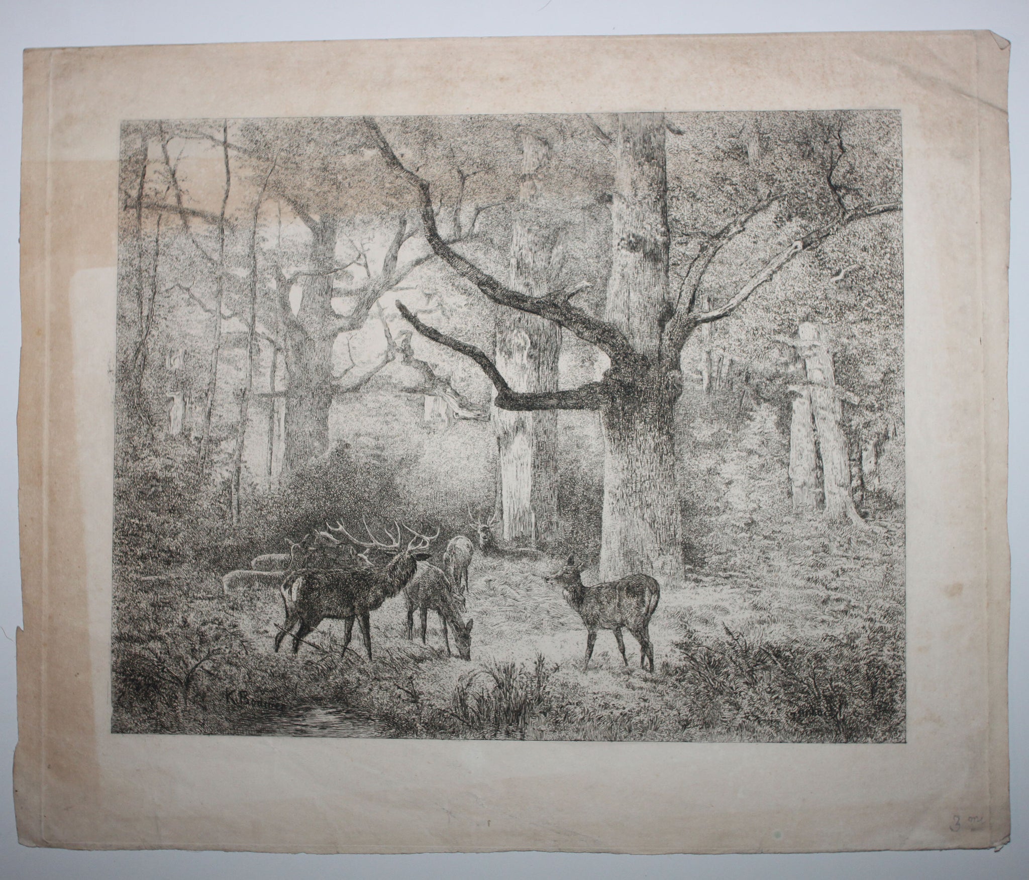 Forêt de Fontainebleau ou Les Cerfs du Bas-Bréau.