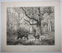 Charger l'image dans la galerie, Forêt de Fontainebleau ou Les Cerfs du Bas-Bréau.