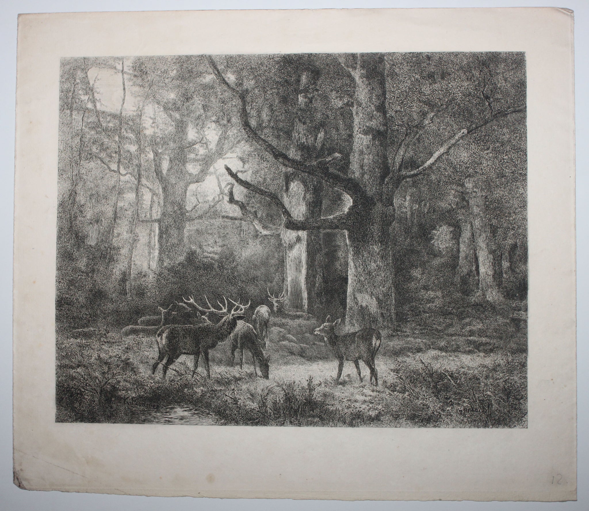 Forêt de Fontainebleau ou Les Cerfs du Bas-Bréau.