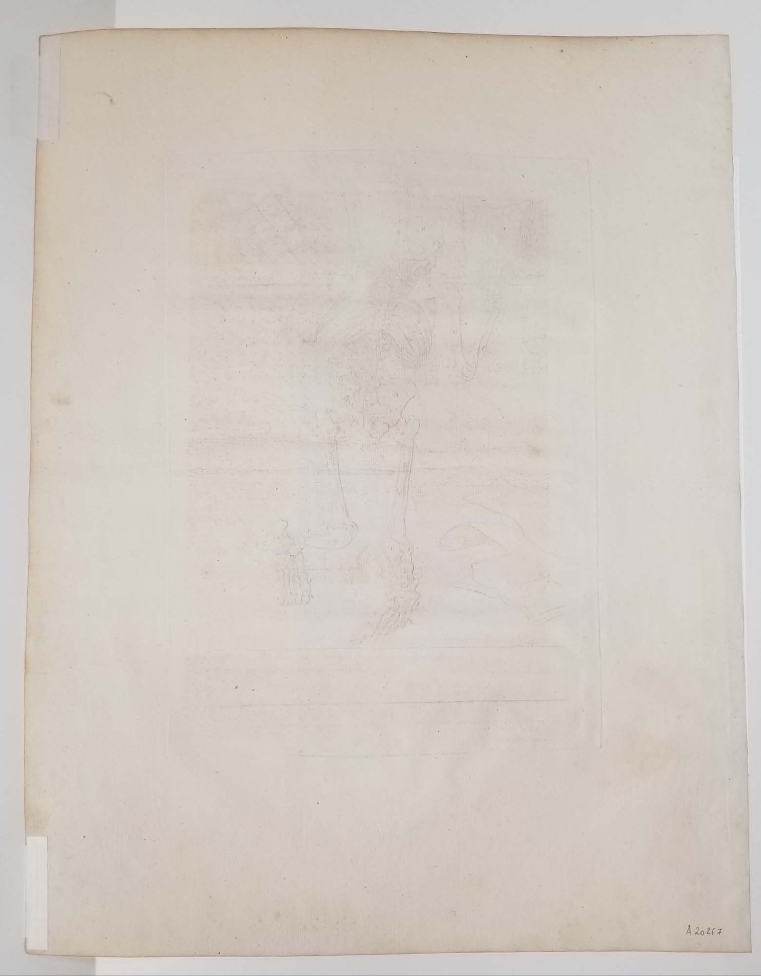 Squelette vu par derrière, agenouillé. 1779.