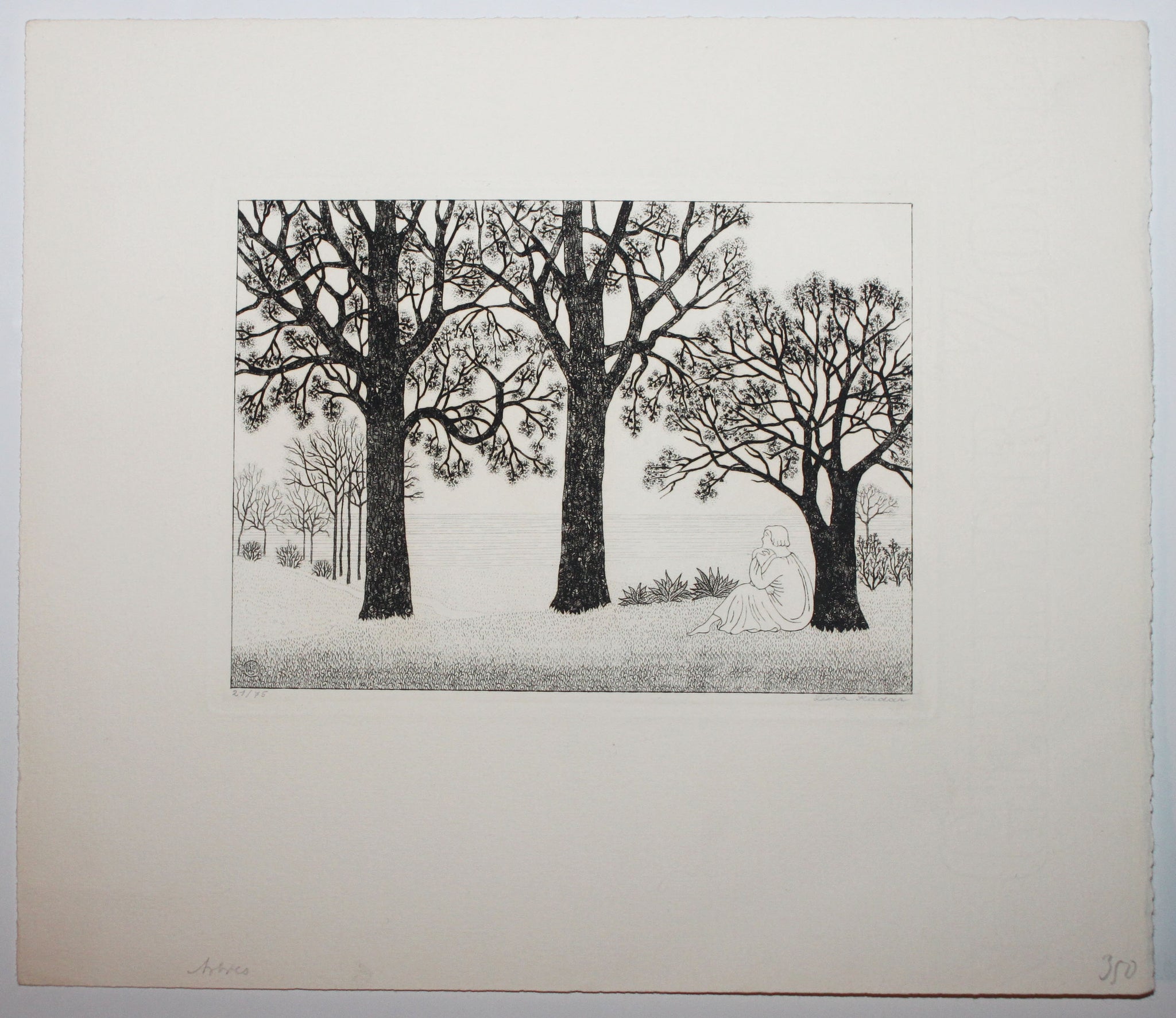 Arbres.