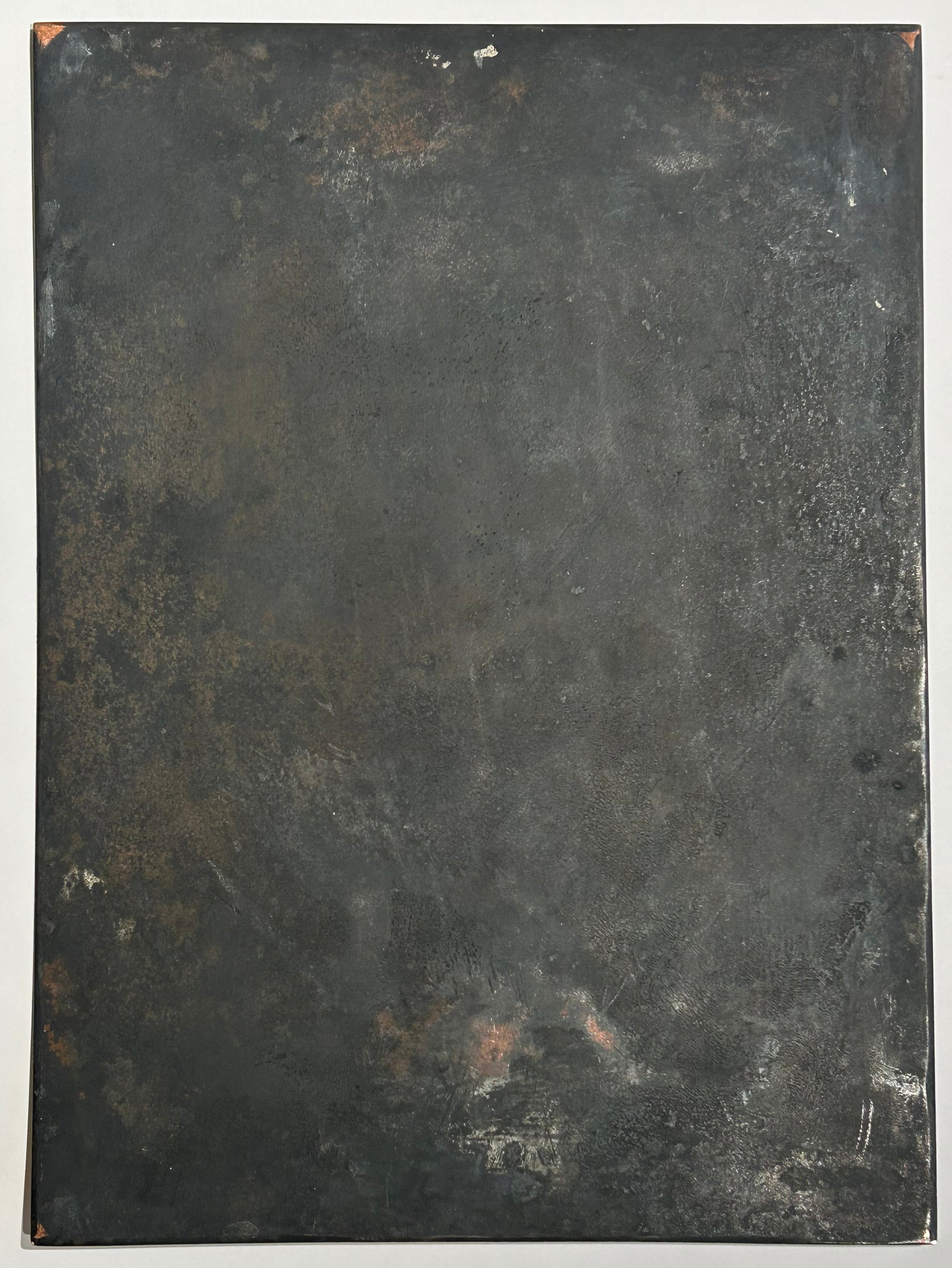 Les taupes. 1854.