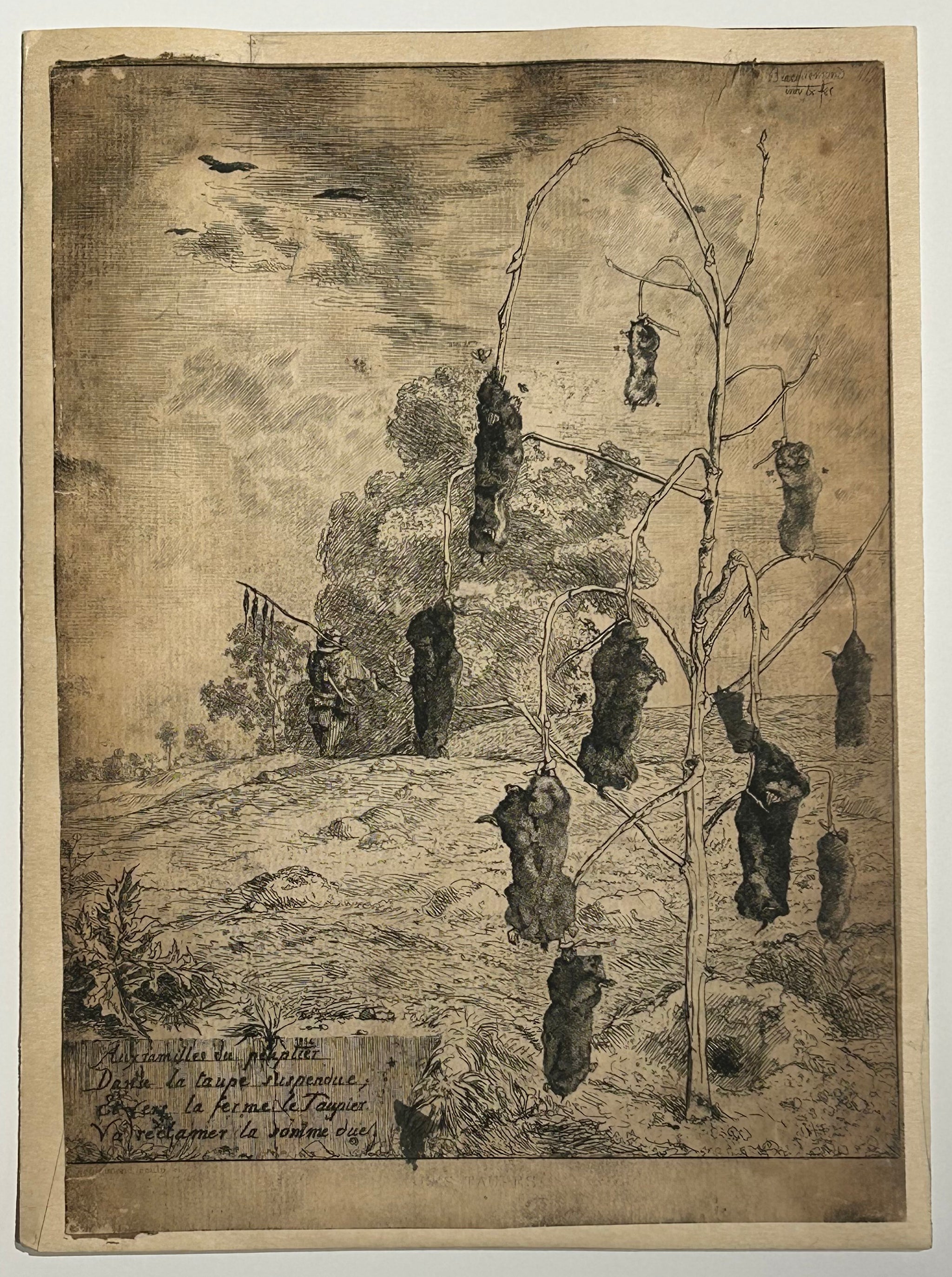 Les taupes. 1854.