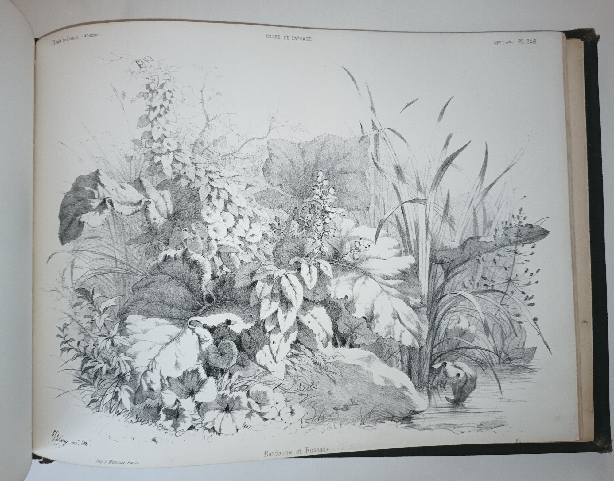 Cours de paysages.