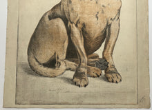 Charger l'image dans la galerie, Azor. 1890.