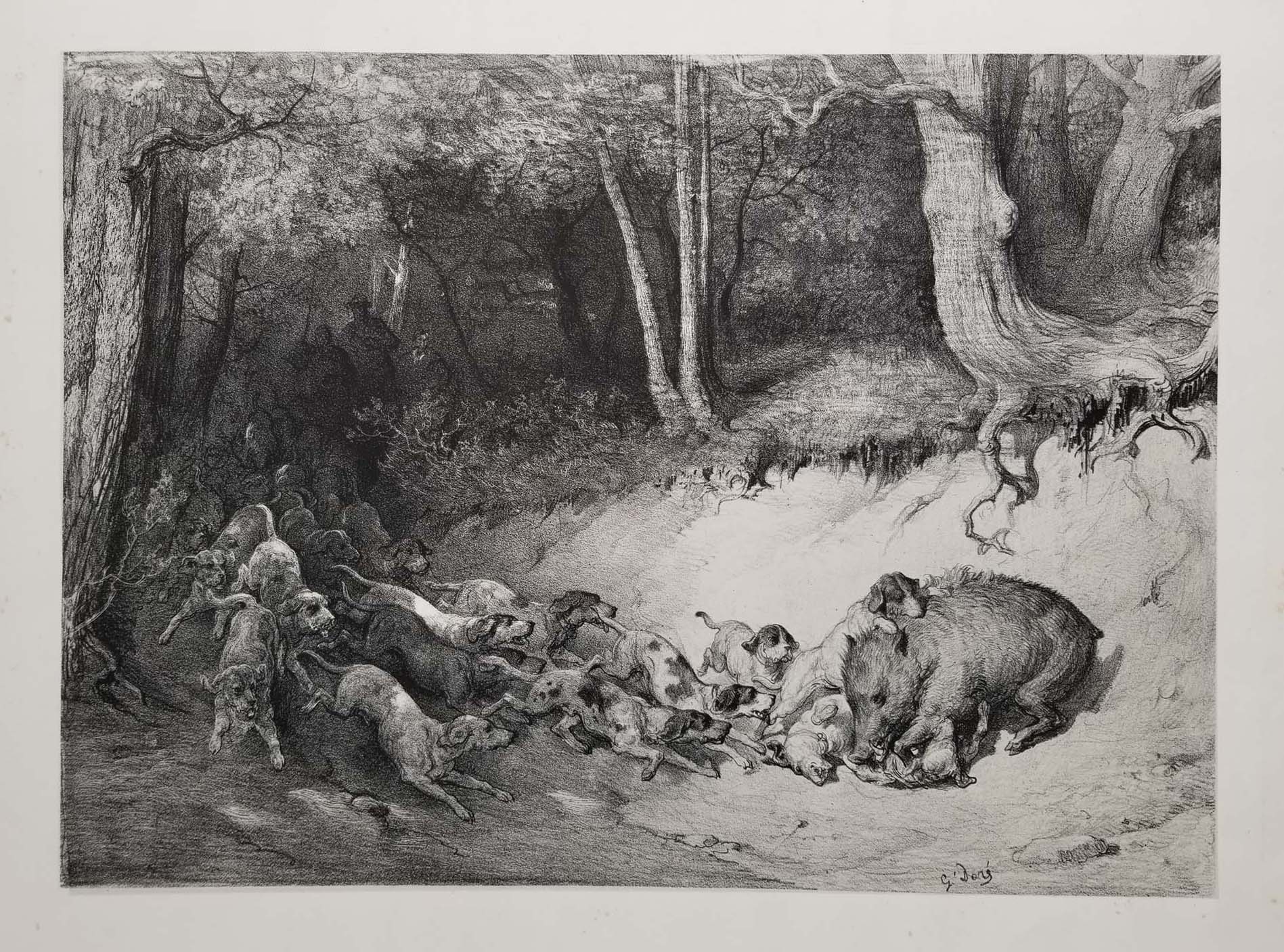 L'Hallali du sanglier.