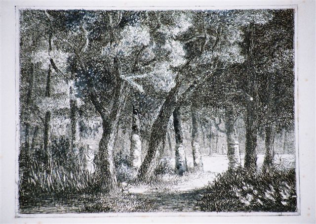 Chasseur dans le bois.