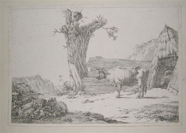 Vache devant la porte de l'étable.