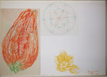 Charger l'image dans la galerie, Tulipan, 1973.