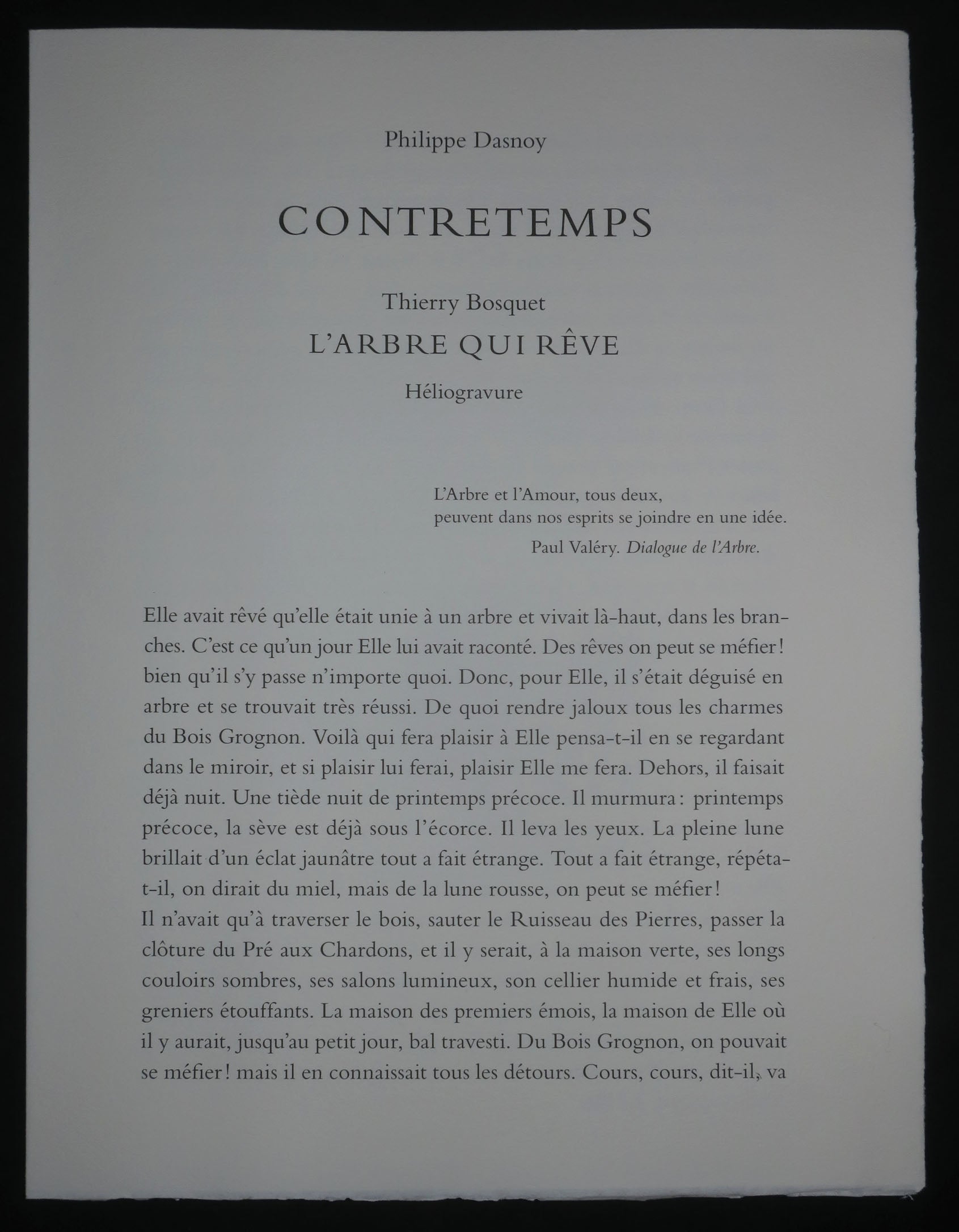 Le Temps de l’Arbre, 2006.