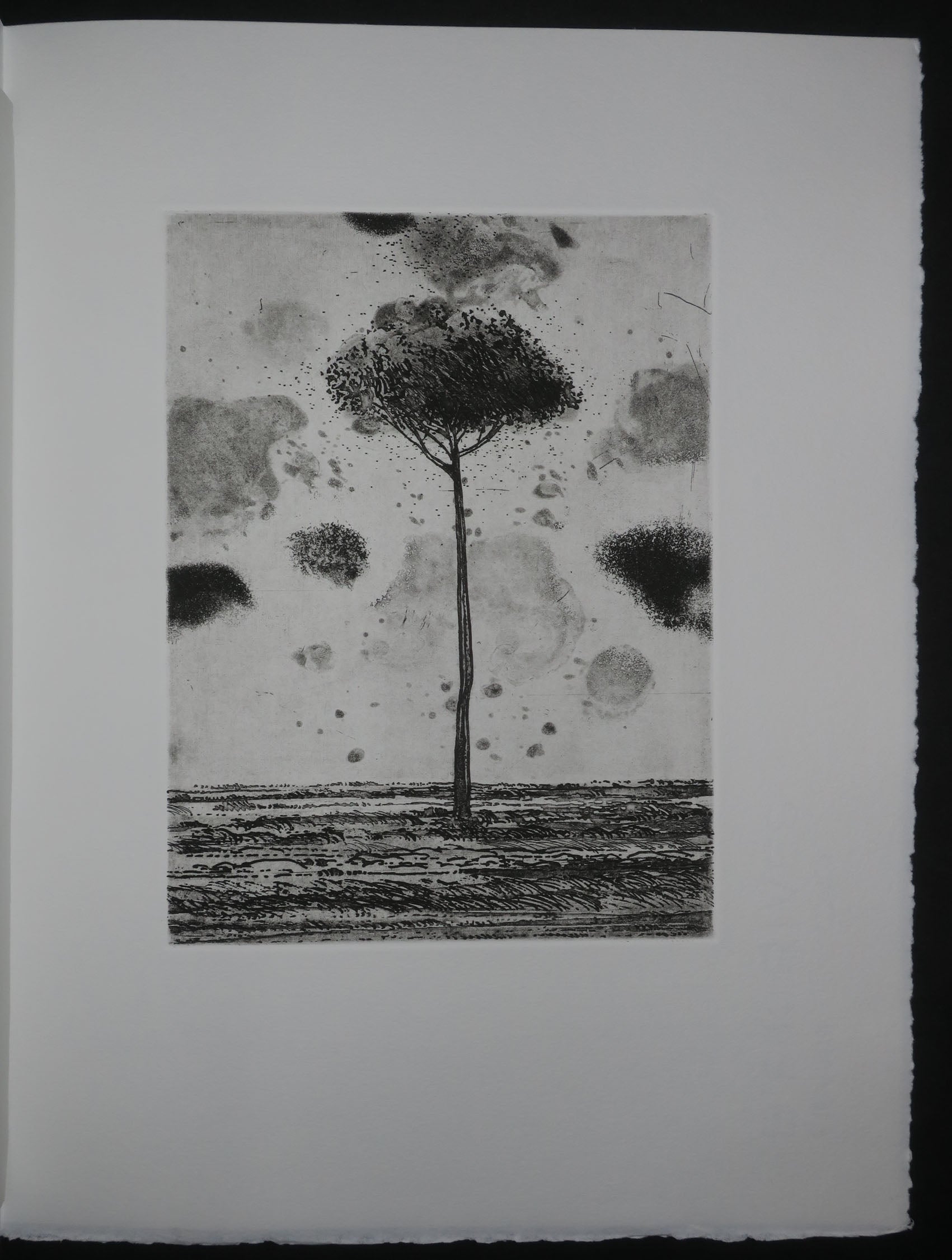 Le Temps de l’Arbre, 2006.