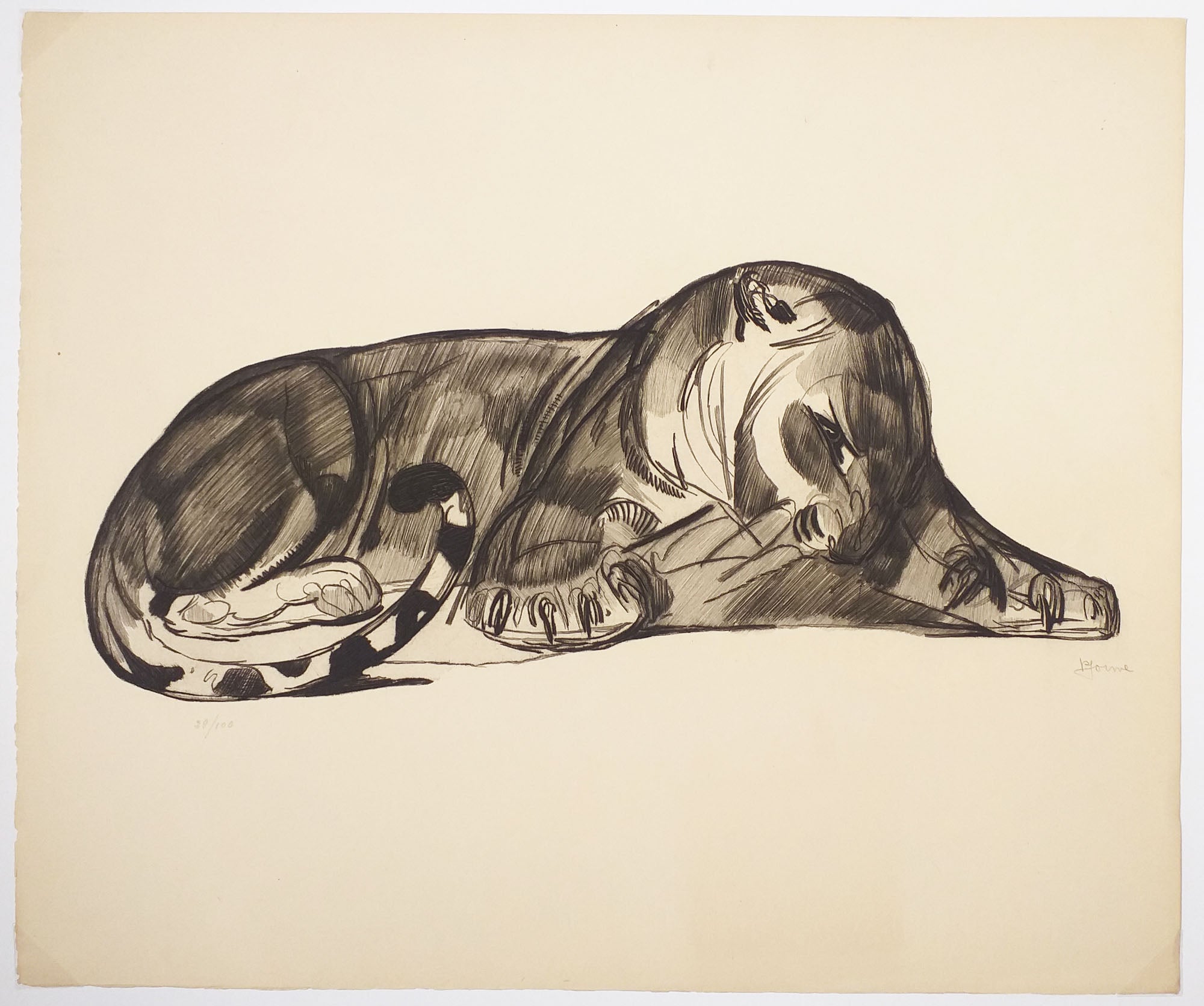 Panthère couchée.  1930.