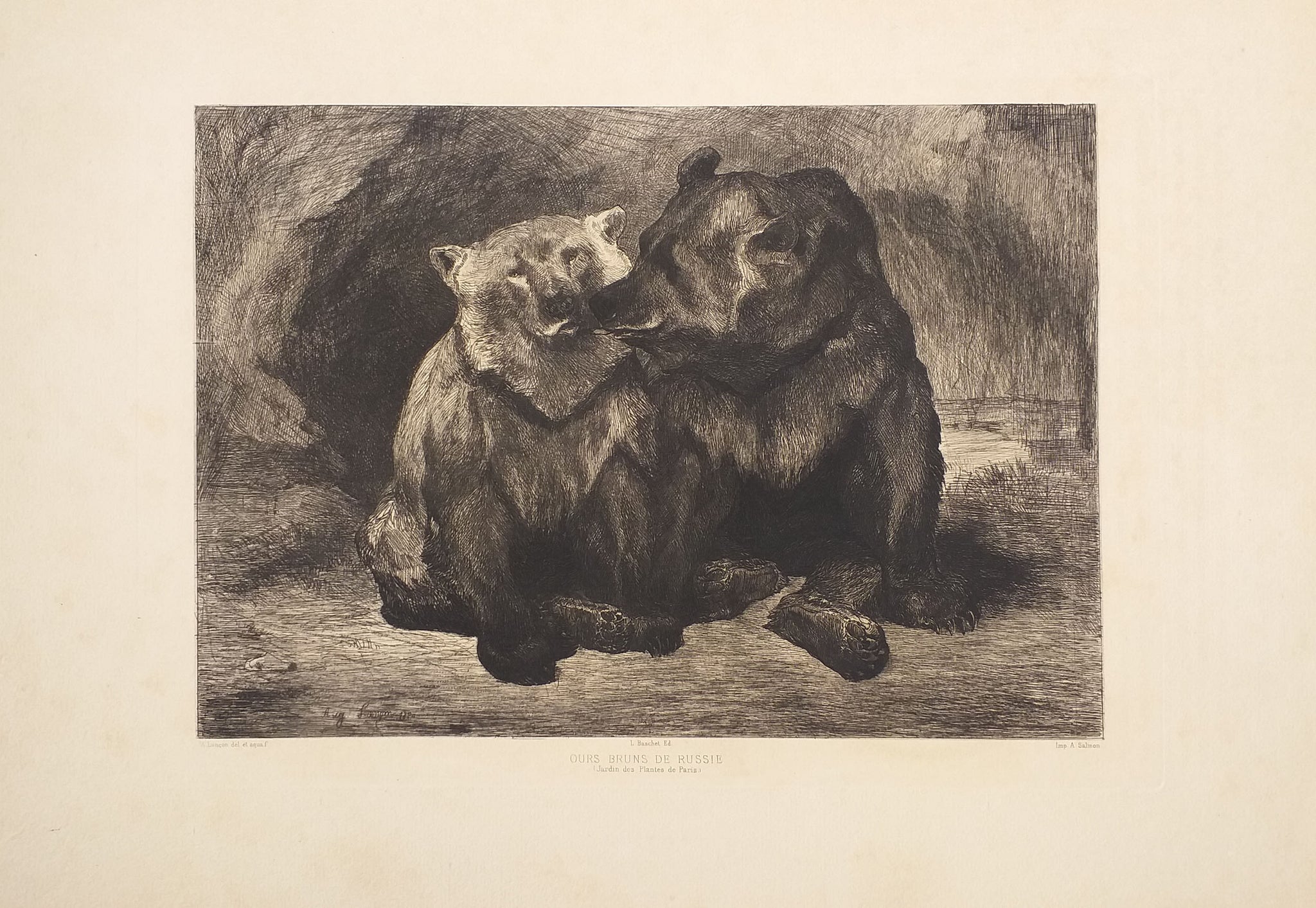 Ours bruns de Russie (Jardin des Plantes de Paris).  1880.