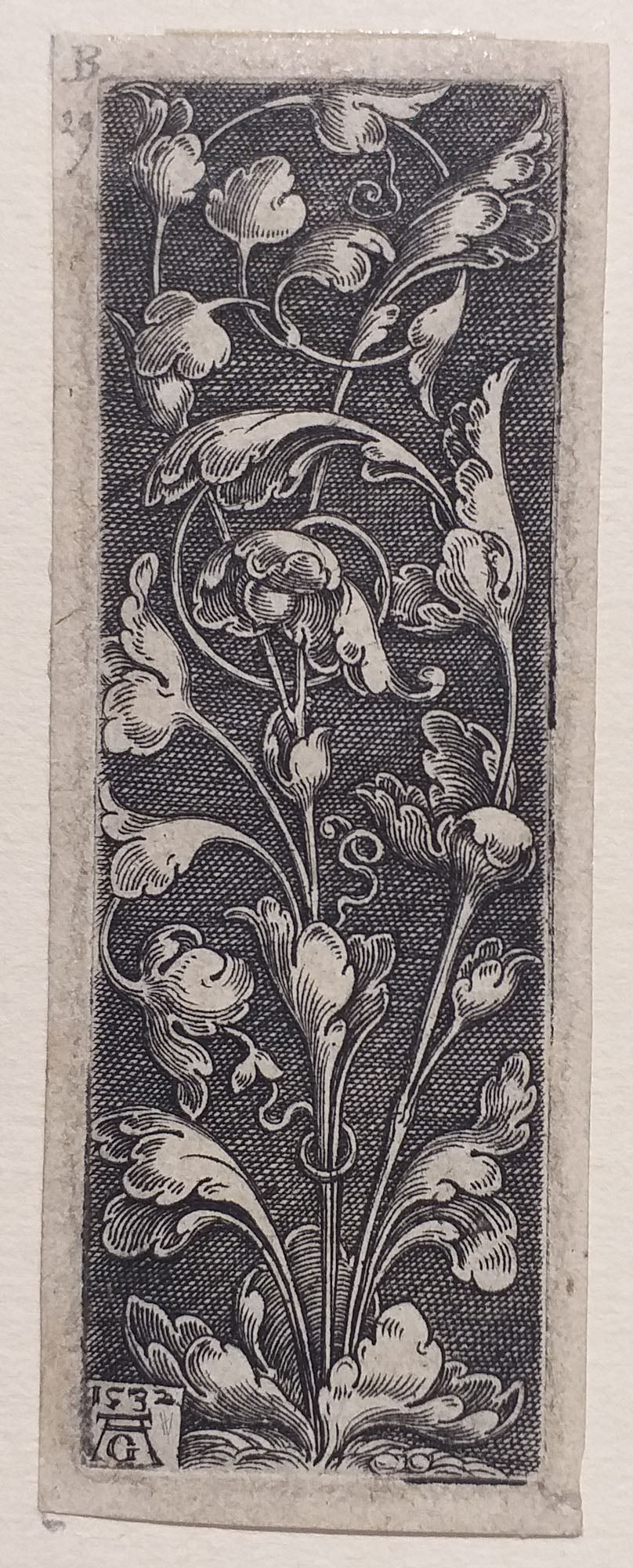 Petit ornement avec feuillage. 1532.