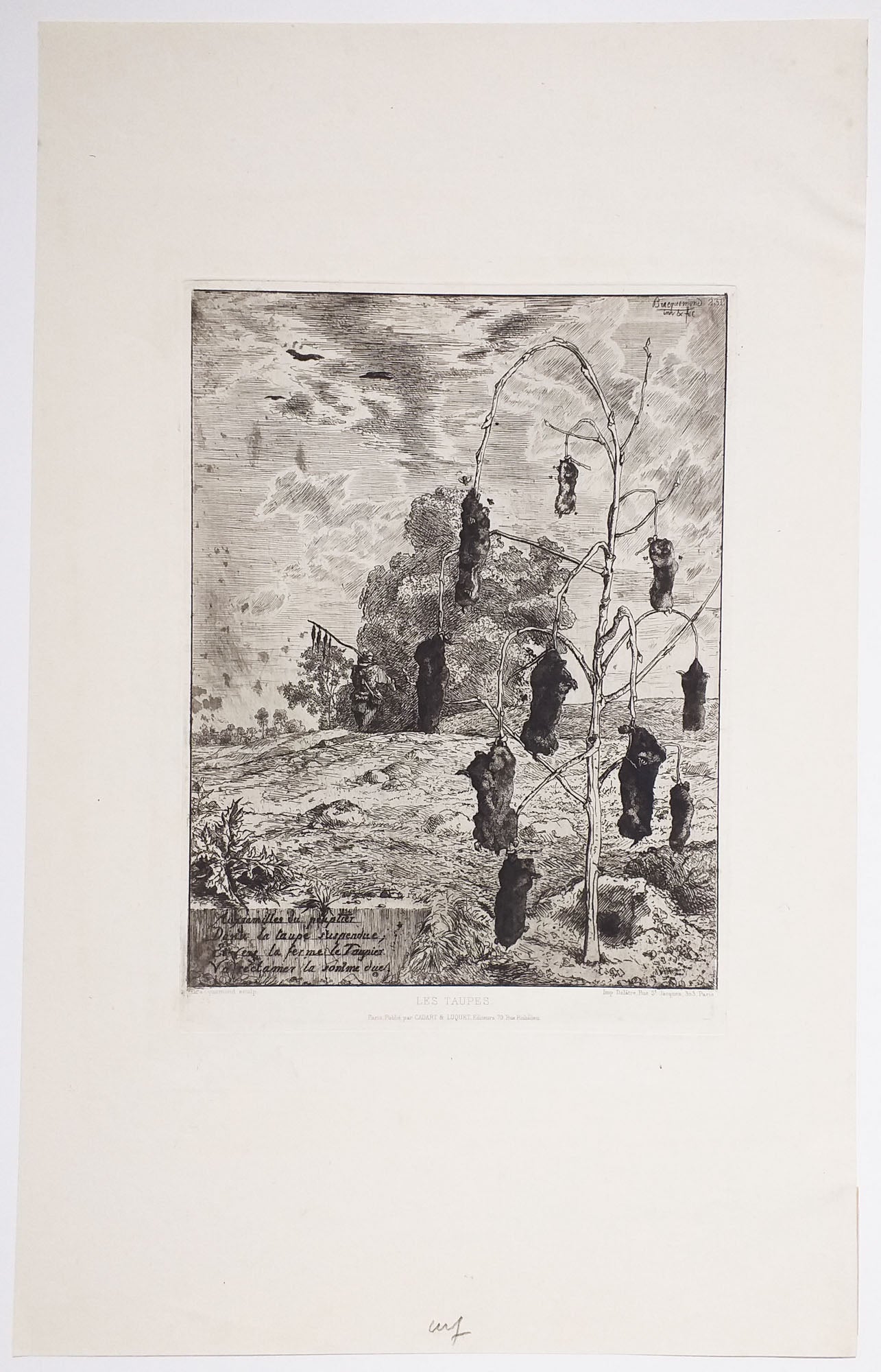 Les taupes. 1854.