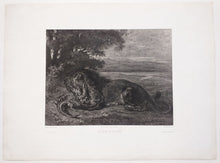 Charger l'image dans la galerie, Le Lion au caïman.  1864.