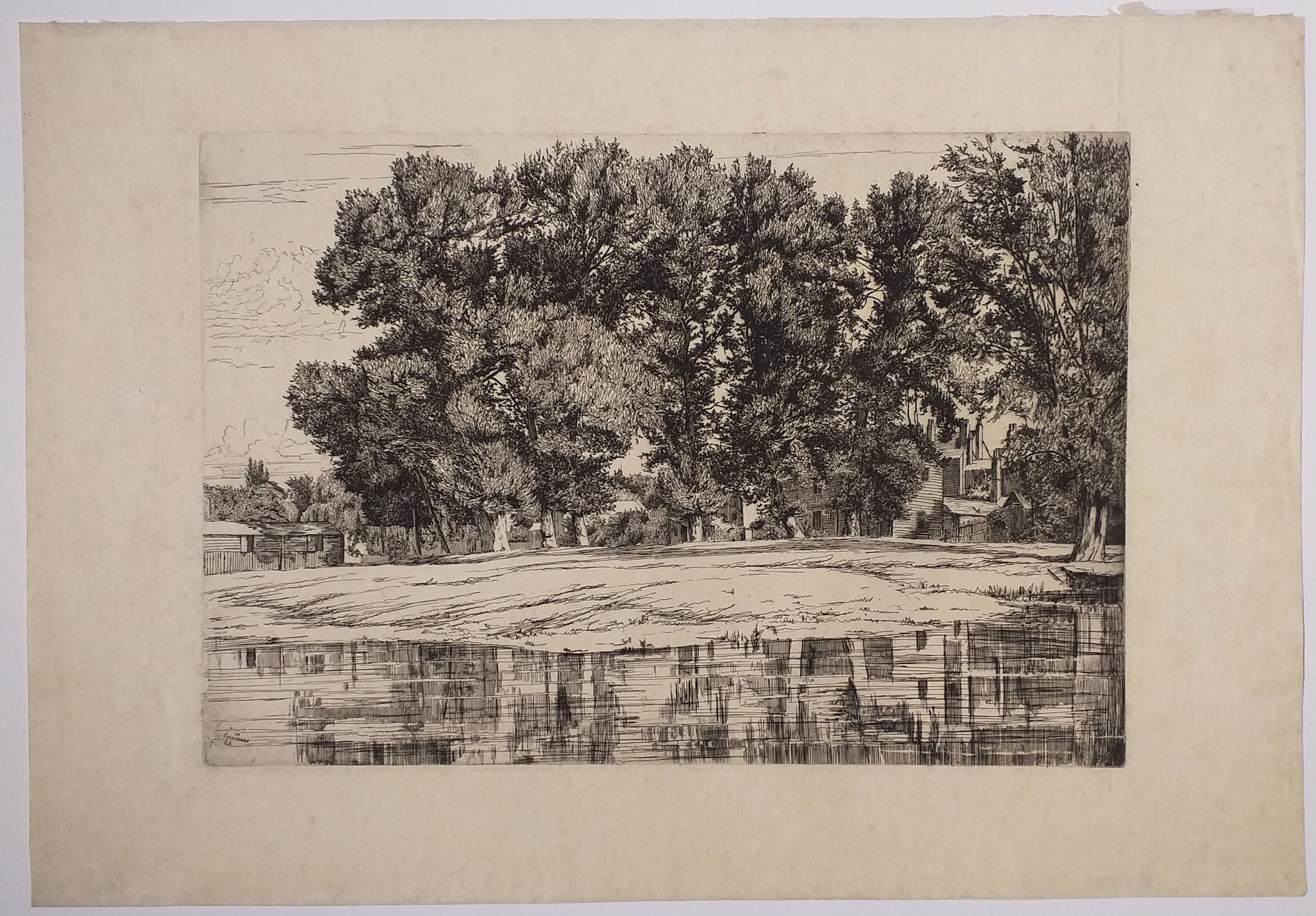 Vieux peupliers anglais en été. 1864.