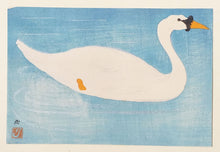 Charger l'image dans la galerie, Cygne.  c.1910.