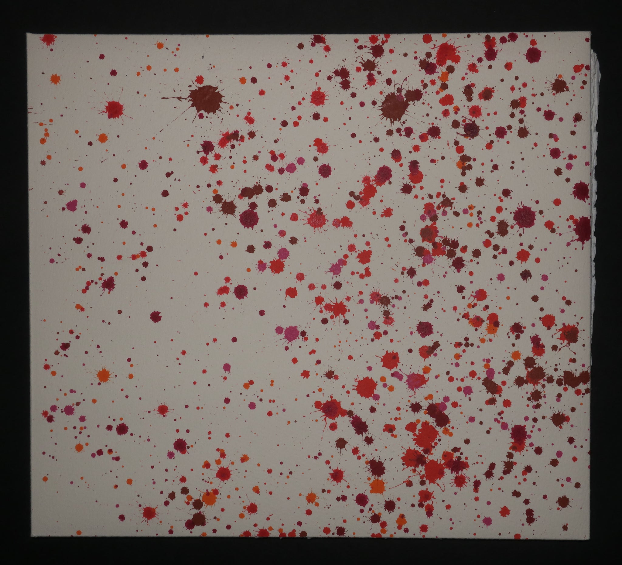 Quinze Regards / Quinze Olhares, 2001.