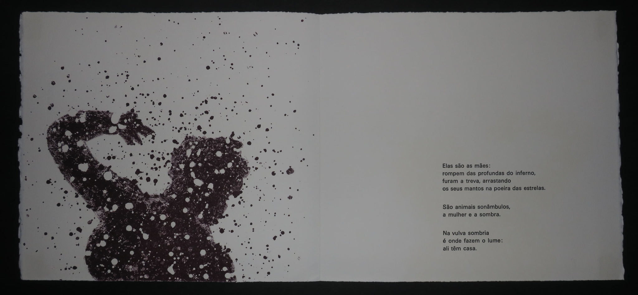 Quinze Regards / Quinze Olhares, 2001.