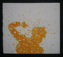 Charger l'image dans la galerie, Quinze Regards / Quinze Olhares, 2001.