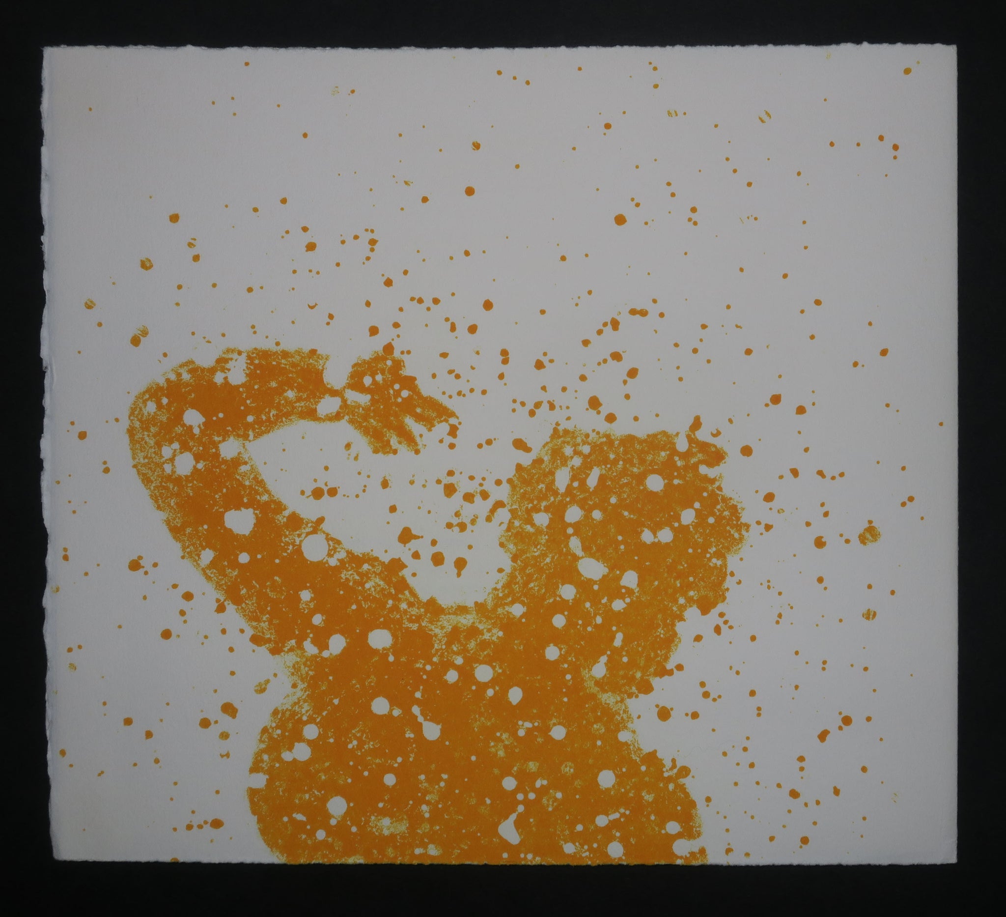 Quinze Regards / Quinze Olhares, 2001.