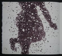 Charger l'image dans la galerie, Quinze Regards / Quinze Olhares, 2001.