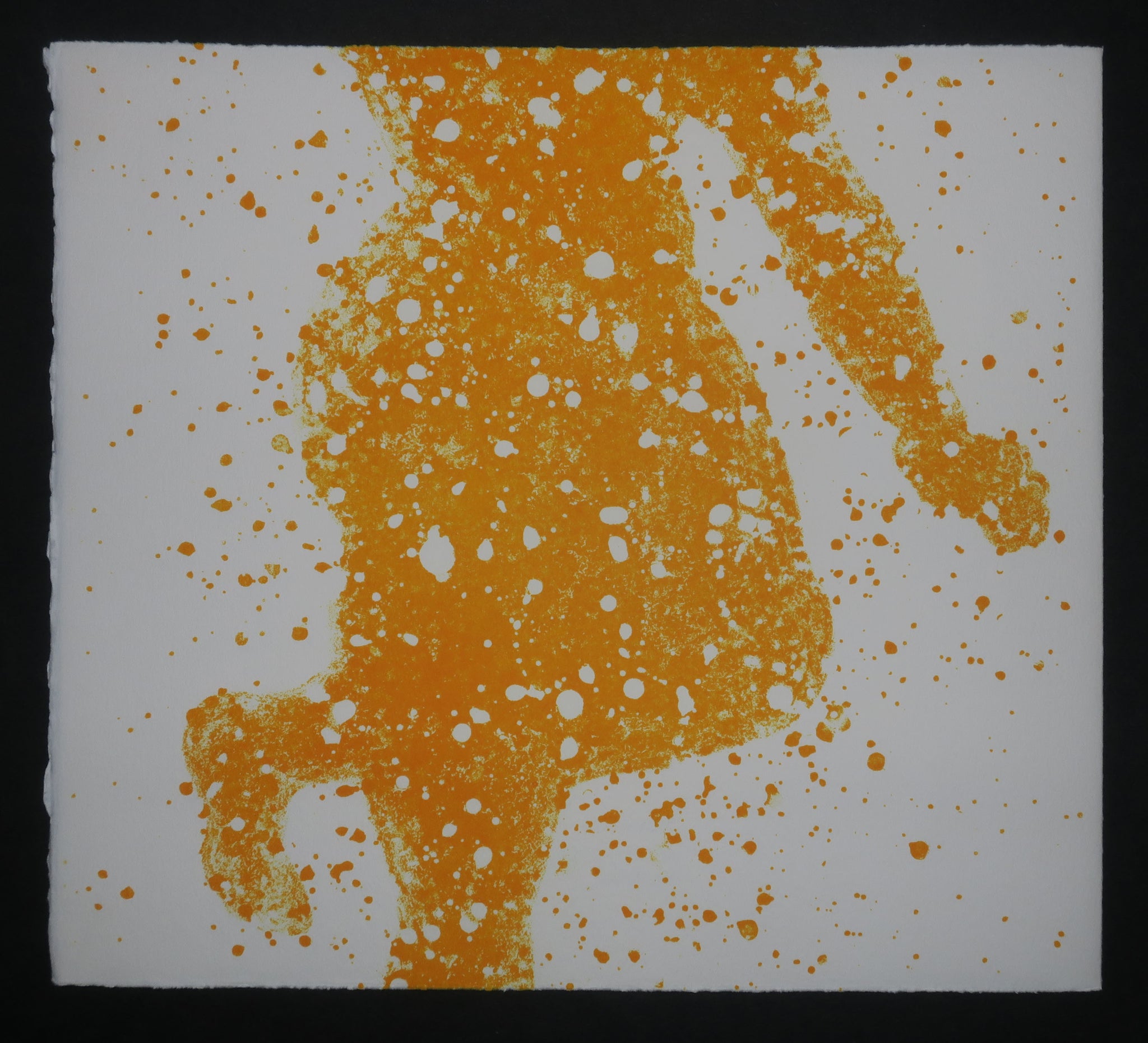 Quinze Regards / Quinze Olhares, 2001.