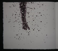 Charger l'image dans la galerie, Quinze Regards / Quinze Olhares, 2001.