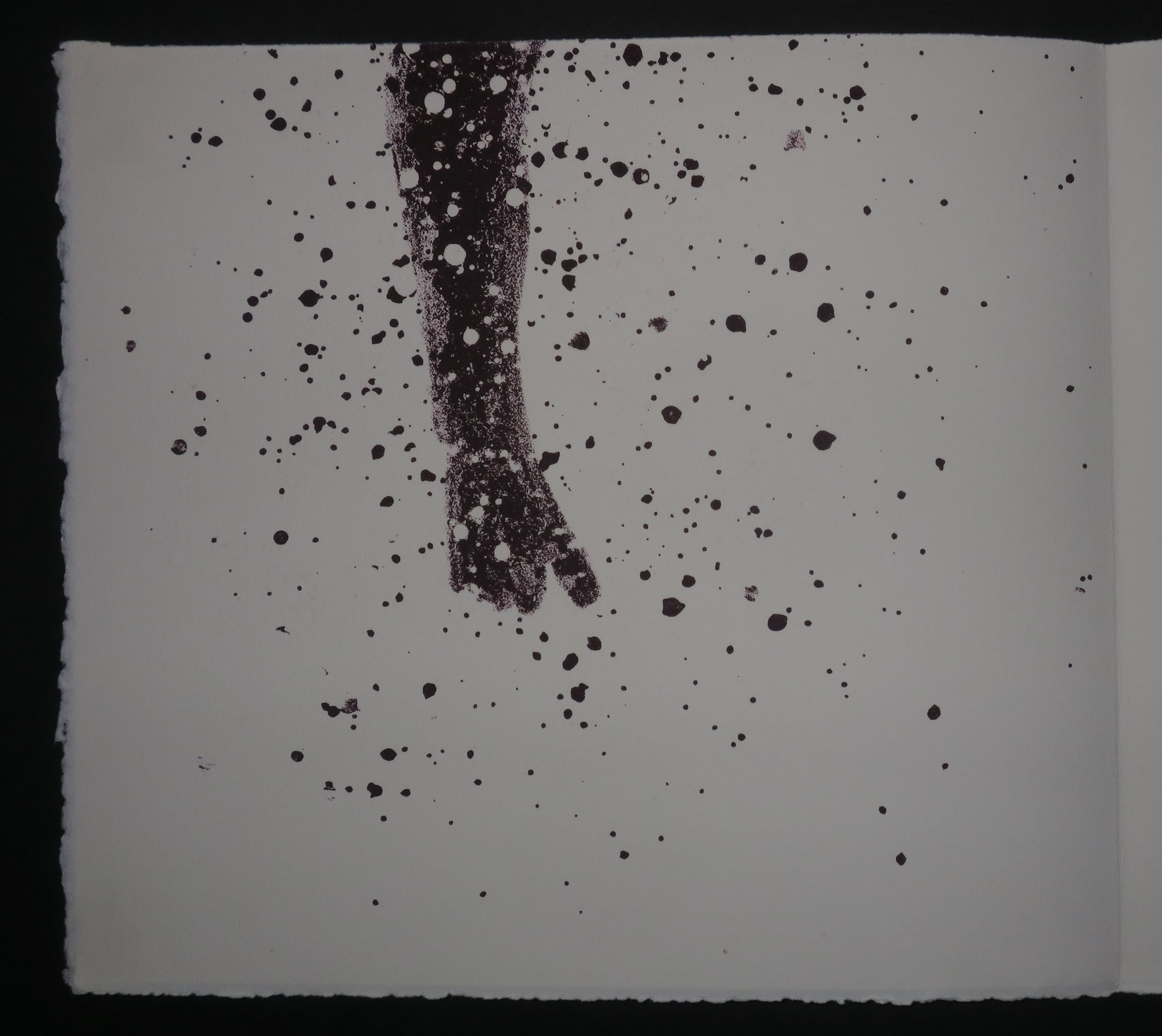 Quinze Regards / Quinze Olhares, 2001.