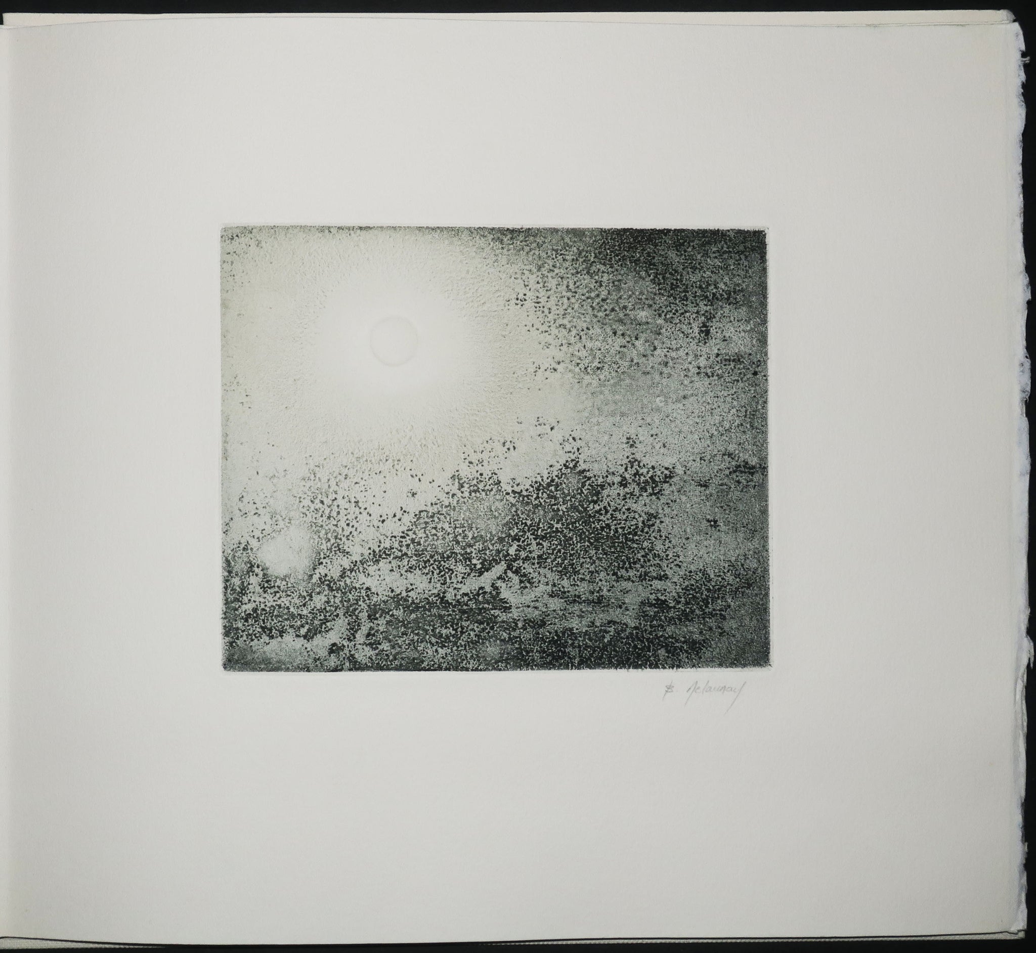 Myrtis. 1981.