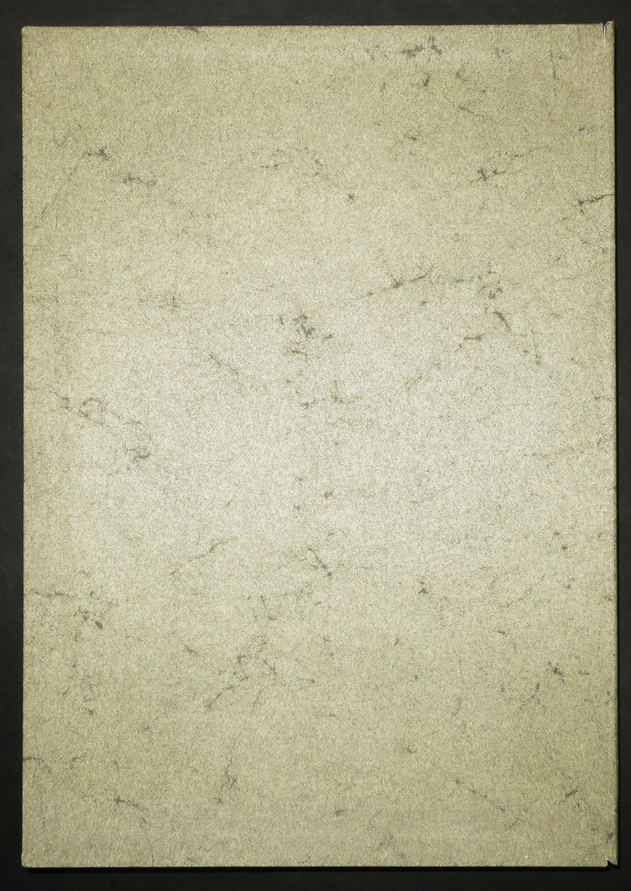 L’Adieu. 1976.