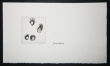 Charger l'image dans la galerie, Cotylédons et Akènes secrets, 2002.