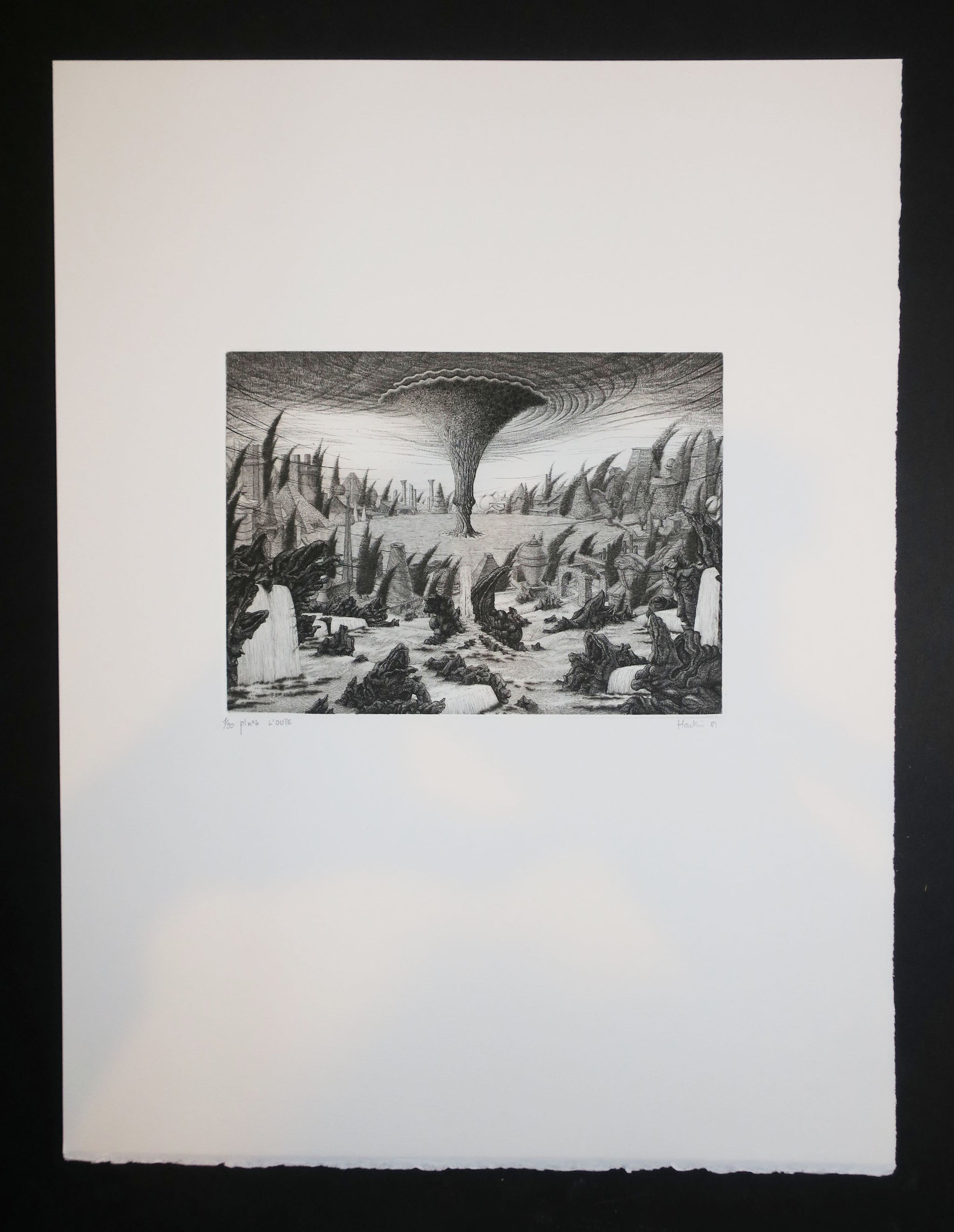 Cinq Jardins – Cing Sens. 1982.