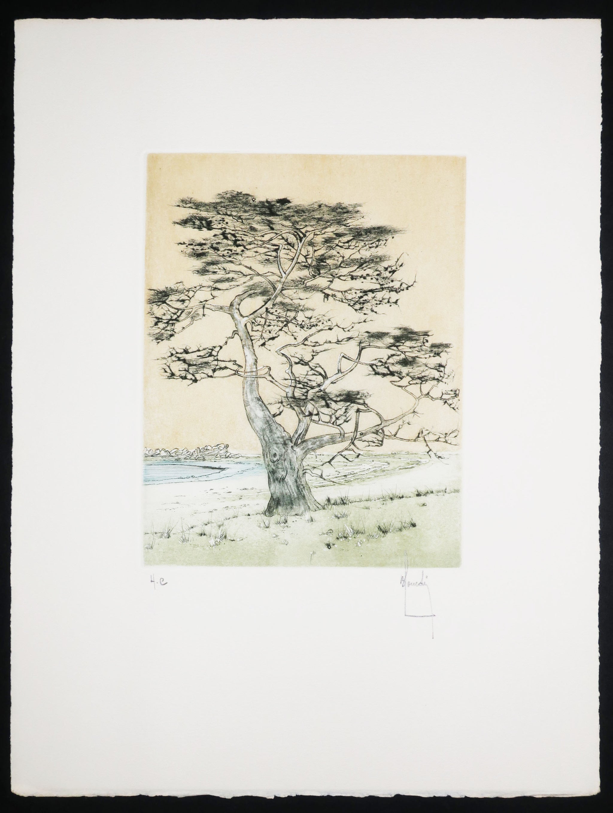 Arbres de mer, 1980.